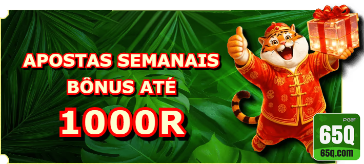 65q.com - premium sistema de jogo para aproveitar